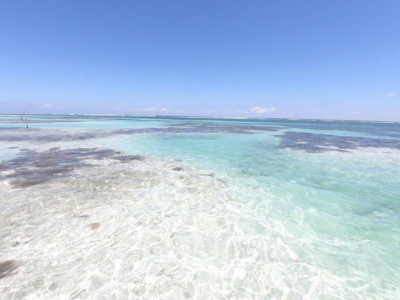 Palmeras De Mahahual Cabanas Esterno foto